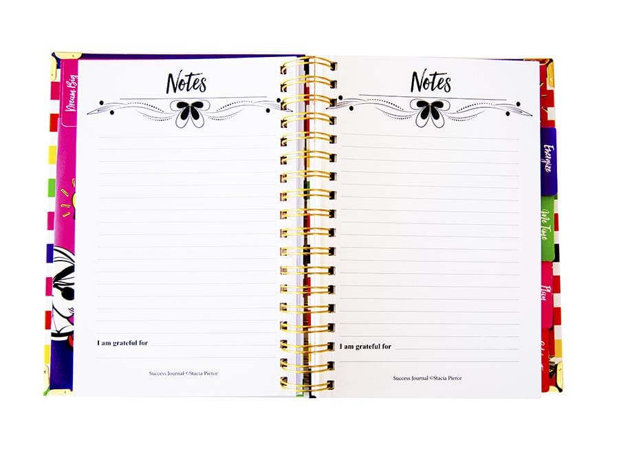 Success Journal Candy Stripe
